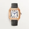 Cartier Santos de Cartier Skeleton WHSA0007(AAAAA version)